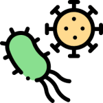 Sofa Cleaning Service Singapore 9 Remove fungi and mold with Mattress Cleaning Singapore or other professional cleaning services Singapore