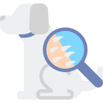 Sofa Cleaning Service Singapore 10 Remove pet danders and hair with Couch Cleaning Singapore or other professional cleaning services Singapore