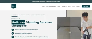 Professional Mattress Cleaning in Singapore: Your Best Choice - Three Butlers 4 Screenshot 2024 07 20 182039