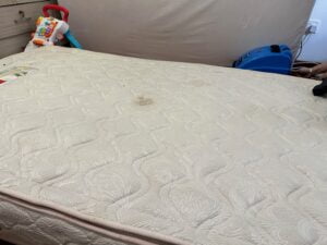 Professional Cleaning Singapore - Mattress Deep Cleaning, Sofa Deep Cleaning, Dust Mites Removal Service & Cleaning Services in Singapore