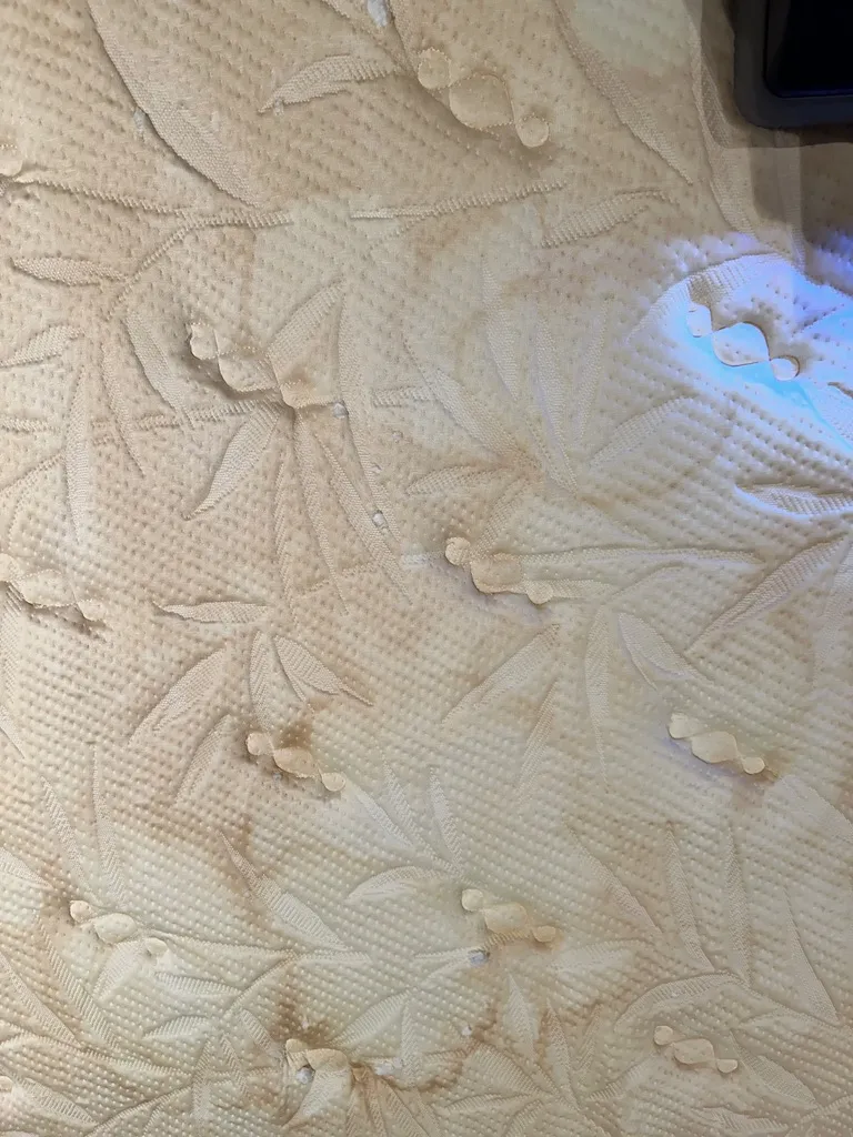 6 Common Types of Mattress Stains That May Require Professional Mattress Cleaning Service in Singapore 9 Three Butler Singapore How to Clean Blood Stains from Mattress