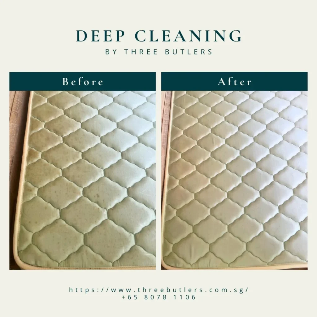 6 Common Types of Mattress Stains That May Require Professional Mattress Cleaning Service in Singapore 6 Three Butlers Mattress Cleaning Service in Singapore Mould and stains removal