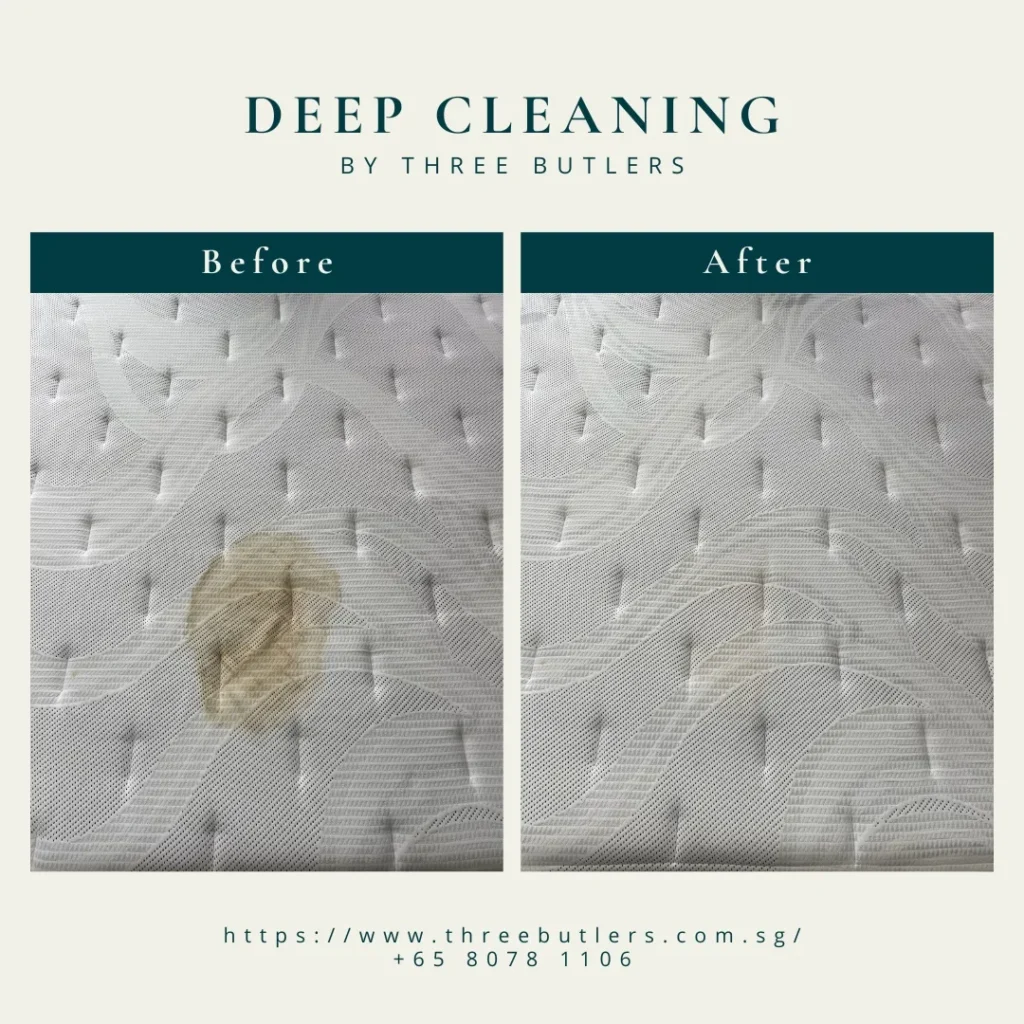 6 Common Types of Mattress Stains That May Require Professional Mattress Cleaning Service in Singapore 5 Three Butlers Mattress Cleaning Singapore Poo and Urine Stains Removal