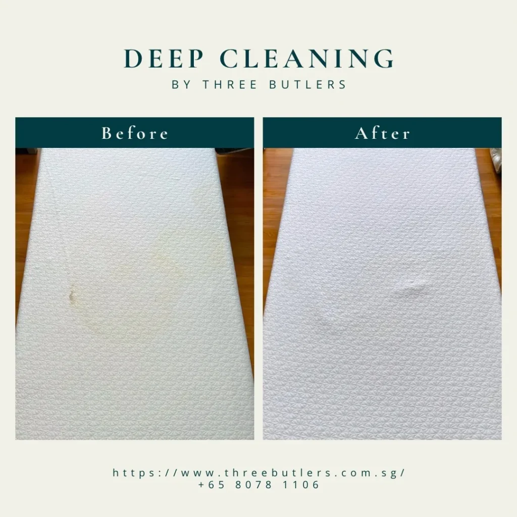 6 Common Types of Mattress Stains That May Require Professional Mattress Cleaning Service in Singapore 7 Three Butlers Mattress Deep Clean Service in Singapore Vomit Stains and Cleaning