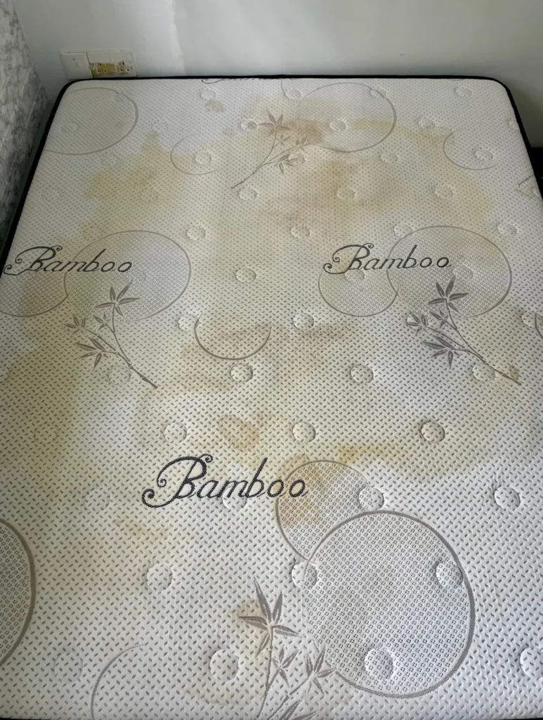 Professional Steam & Deep Mattress Cleaning Singapore - Before